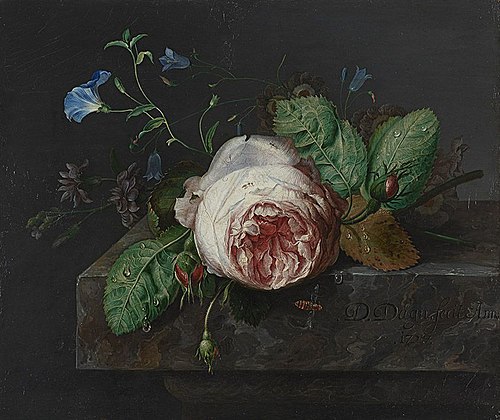 Blumenstück, 1727, Dismar Degen