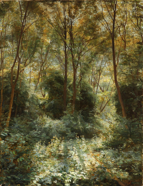 Sunshine in a dense forest, 1905, Aage Bertelsen