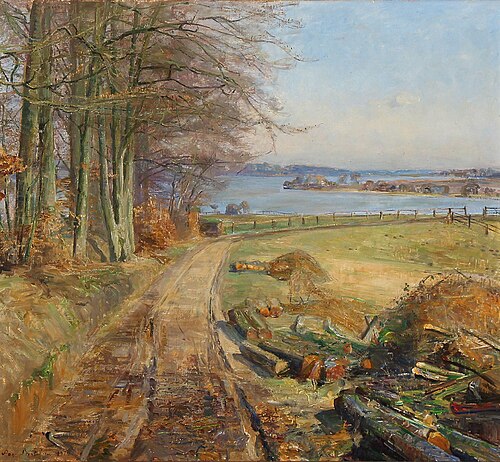 View from Sjælsø in Birkerød, Denmark, 1919, Aage Bertelsen