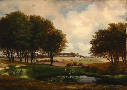 Landscape from North Zealand, , Andreas Juuel