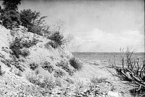 Parti ved Møens strand, 1871, Claus Anton Kölle