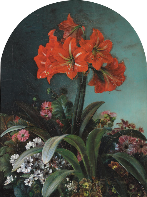 Amaryllis., 1850, Carl Balsgaard