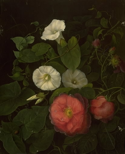 Roser og epomenea, 1845, Emma Augusta Thomsen