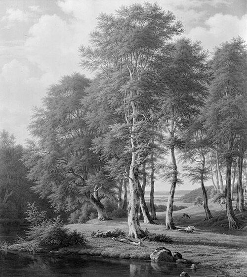 Skovlandskab. Nordsjælland, 1871, F.C. Kiærskou