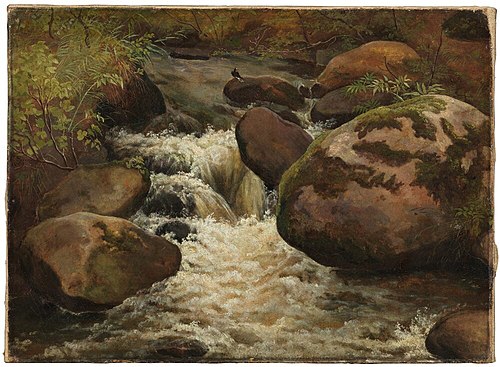 Rushing Stream, 1829, Frederik Sødring