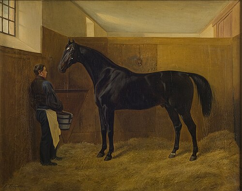 Zampa, , Fritz Thomsen