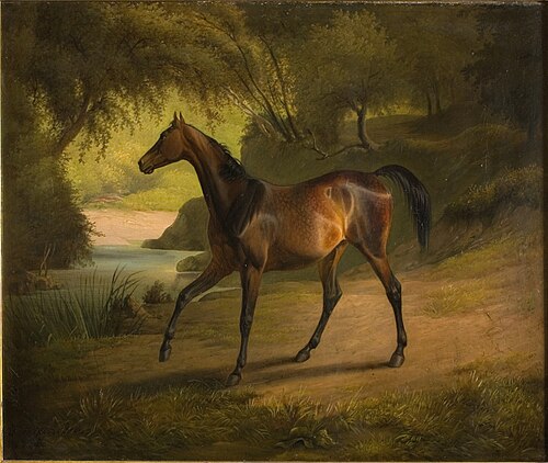 Antonia, 1848, Fritz Thomsen