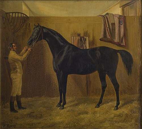 Black Comet, 1849, Fritz Thomsen