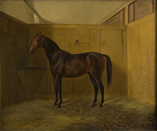 Bruno, 1848, Fritz Thomsen