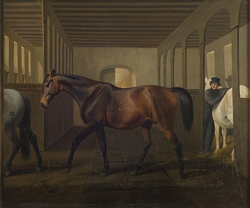 Rosetta, 1841, Fritz Thomsen