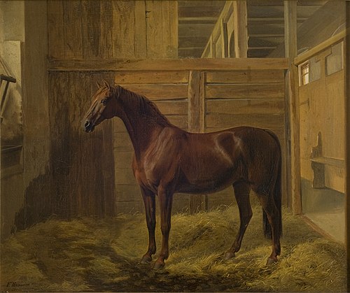 Hersilia, 1847, Fritz Thomsen
