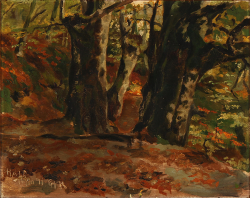 View from a forest [near Hald Lake, Jutland], 1891, Gotfred Rode