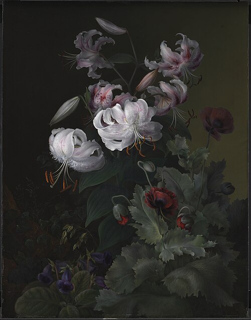 Blomstrende planter, 1845, Hermania Neergaard