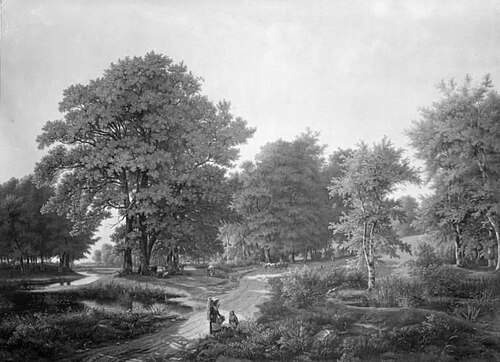 Skovparti på vejen mellem Helsingør og Hammermøllen, 1838, Jens Peter Møller