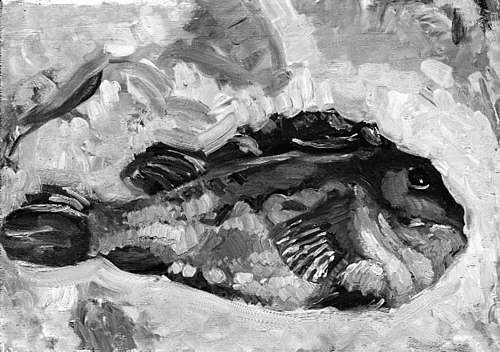 A Lumpfish, 1902, Oluf Hartmann