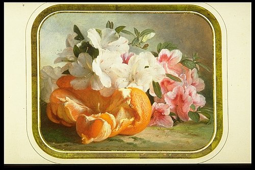 Azaleas and Orange, 1860, Theude Grönland