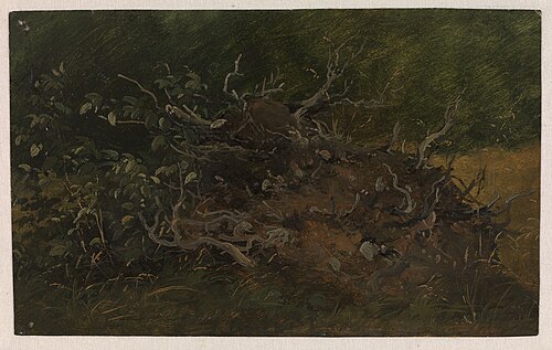Study of a Tree Stump, 1845, Wilhelm Peter Carl Petersen