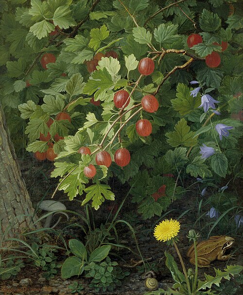 Forest still life with gooseberries, dandelions, bluebells, snail and frog, 1864, William Hammer