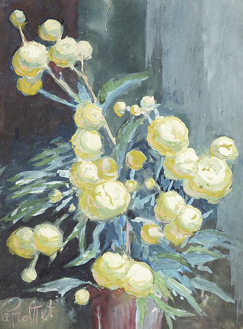 Kullerkupud, , Aleksander Promet