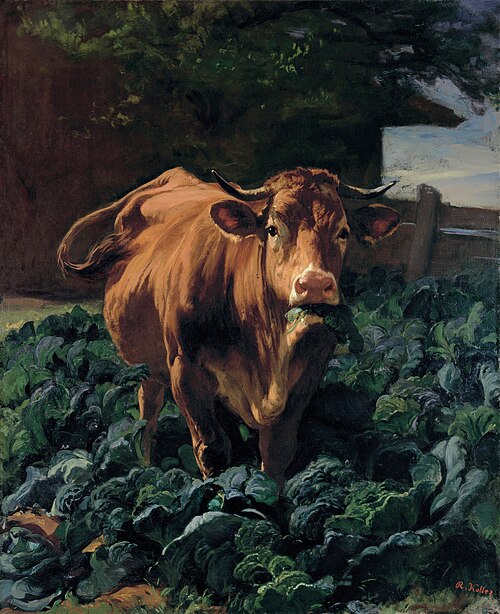 Vache dans un carré de choux, 1857, Rudolf Koller