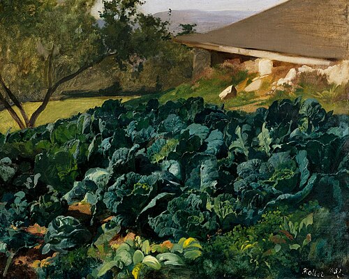 Krautstudie, 1857, Rudolf Koller