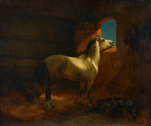 Schimmel im Stall, 1848, Rudolf Koller