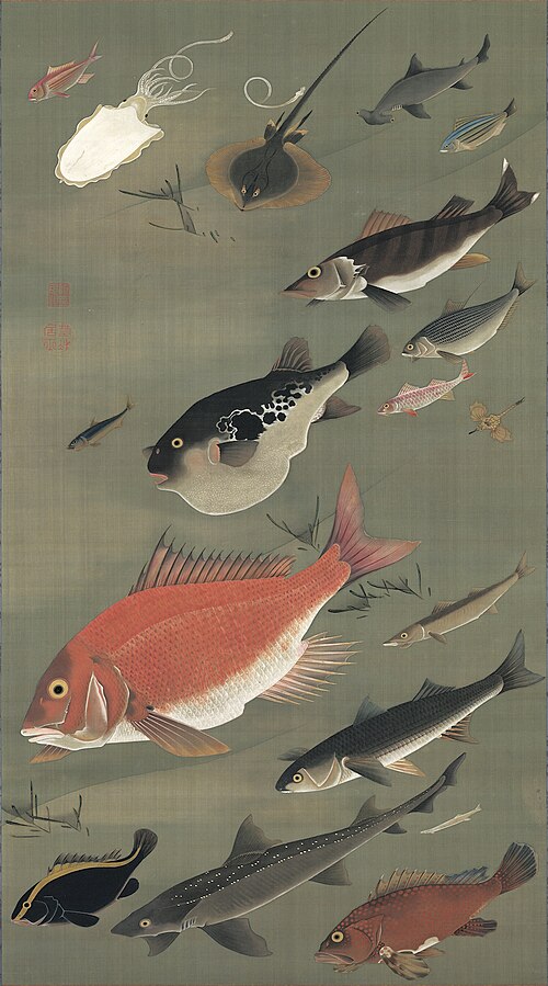 Fish, 1800, Itō Jakuchū