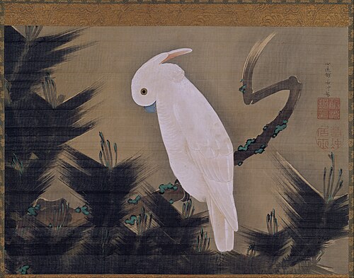 White Cockatoo on a Pine Branch, 1750, Itō Jakuchū