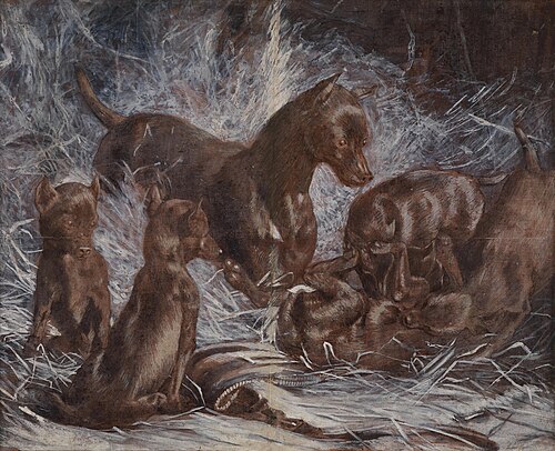 Wolfshunde, 1908, Béla Pállik