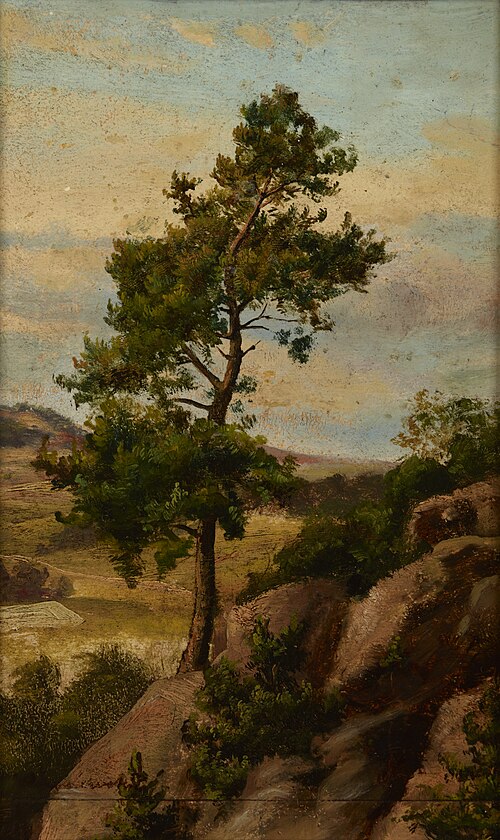 Stone Pine, , Henryk Grabiński
