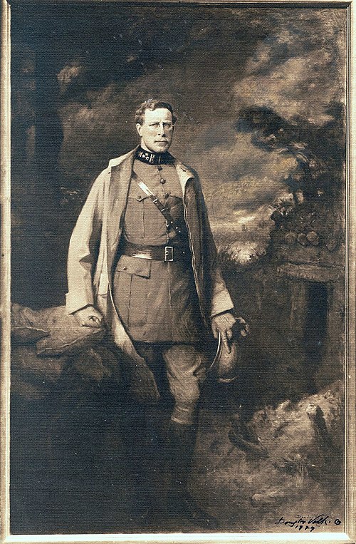 King Albert of Belgium, 1919, Douglas Volk