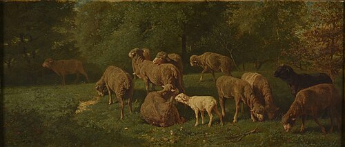 Moutons, 1865, Charles Jacque