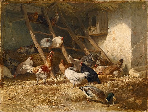 Poultry in a shed, 1828, 1850, Charles Jacque