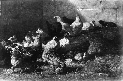 Poulets, 1850, Charles Jacque