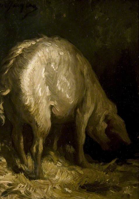 The Pig, , Charles Jacque