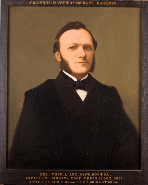Portret van Joannes Matthias Schrant, hoogleraar Geneeskunde te Leiden, 1801, unknown