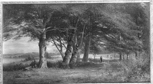 Landschaft mit Buchengruppe, 1866, Richard von Poschinger