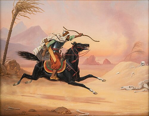 Fariz, 1836, Janvier Suchodolski