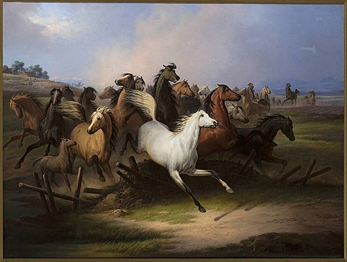 Stud farm., 1801, Janvier Suchodolski