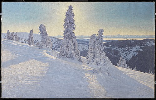 Black Forest firs with ice and snow, 1911, Hermann Dischler
