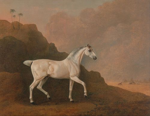 Un étalon Arabe gris dans un paysage de désert, 1790, John Boultbee