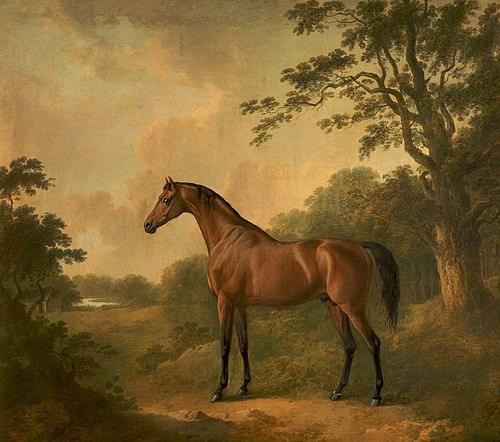 A Bay Hunter named 'Sir Oliver', 1808, John Boultbee
