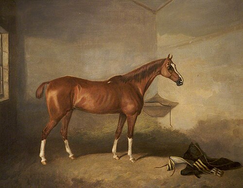 A Chestnut Horse in a Stable, 1791, John Boultbee