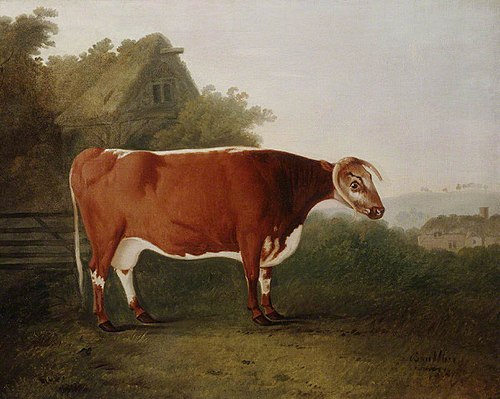 'Broken-horned Beauty', 18 years old Garrick's Mother, Sire Hampton Butt Dam Long-horned Beauty sold, 1792, John Boultbee