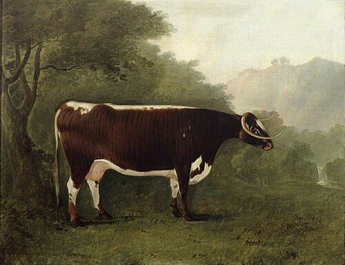 'Garrick's Sister', Sire Shakespeare Dam Long-horned Beauty sold for 115 guineas at public auction, 1792, John Boultbee
