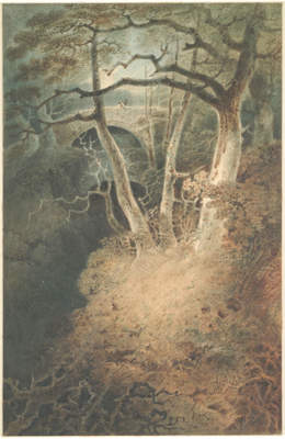 The Devil's Bridge, North Wales, 1801, John Sell Cotman