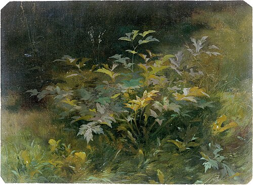 Leafy plants in the summery Friedrichsgrund near Pillnitz, , Eduard Leonhardi