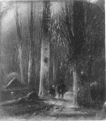 Bosgezicht, 1869, Joannes Petrus Waterloo