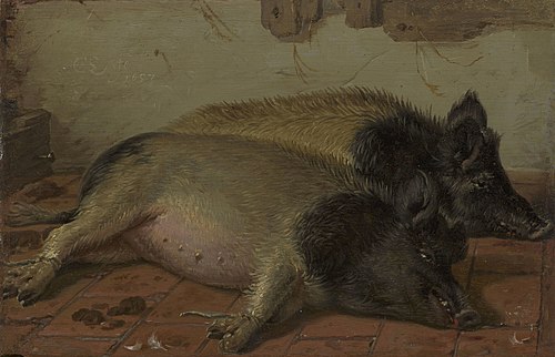Deux cochons, 1657, Cornelis Saftleven