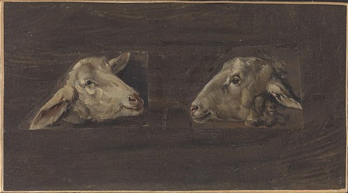 Heads of Sheep, 1644, Cornelis Saftleven